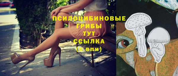 jwh Аркадак